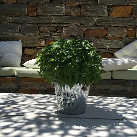 Otzias Green Cottage Σπίτι διακοπών *